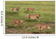 Five Running Cheetah Wall Mural