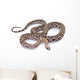 Scaleless Corn Snake Wall Decal