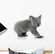Young koala bear Wall Decal