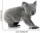 Young koala bear Wall Decal