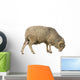Side Arles Merino Sheep Wall Decal