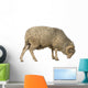 Side Arles Merino Sheep Wall Decal