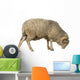 Side Arles Merino Sheep Wall Decal