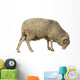 Side Arles Merino Sheep Wall Decal