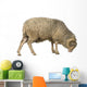 Side Arles Merino Sheep Wall Decal