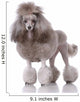 Portrait Poodle
