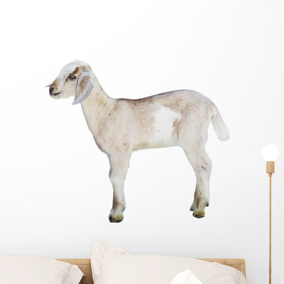 Lamb White Farm Animal Wall Decal shown on a wall