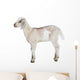 Lamb White Farm Animal Wall Decal
