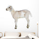 Lamb White Farm Animal Wall Decal