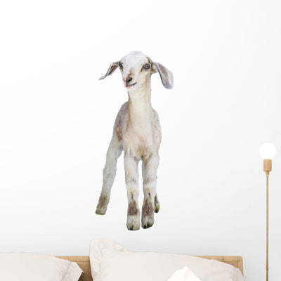 Lamb Wall Decal shown on a wall