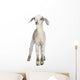 Lamb Wall Decal