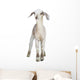 Lamb Wall Decal