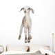 Lamb Wall Decal
