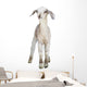 Lamb Wall Decal