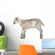Young Sheep Lamb Wall Decal