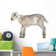 Young Sheep Lamb Wall Decal