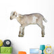 Young Sheep Lamb Wall Decal