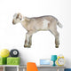 Young Sheep Lamb Wall Decal