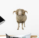 Sheep Ram Standing Wall Decal