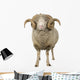 Sheep Ram Standing Wall Decal