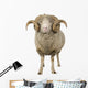 Sheep Ram Standing Wall Decal