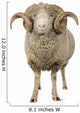 Sheep Ram Standing Wall Decal