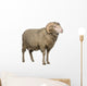 Arles Merino Sheep Ram Wall Decal