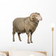 Arles Merino Sheep Ram Wall Decal