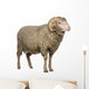 Arles Merino Sheep Ram Wall Decal