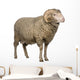 Arles Merino Sheep Ram Wall Decal