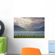 Atmospheric Scenic Of Broad Pass And Boreal Forest Wall Mural