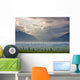 Atmospheric Scenic Of Broad Pass And Boreal Forest Wall Mural