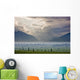 Atmospheric Scenic Of Broad Pass And Boreal Forest Wall Mural
