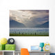Atmospheric Scenic Of Broad Pass And Boreal Forest Wall Mural