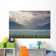 Atmospheric Scenic Of Broad Pass And Boreal Forest Wall Mural