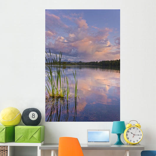 View Of Sunset Clouds Reflected In Westchester Lagoon Wall Mural