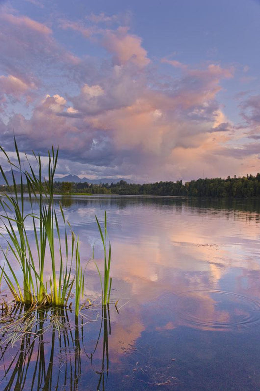 View Of Sunset Clouds Reflected In Westchester Lagoon Wall Mural