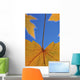 Close-Up Of Yellow Maple Leaves In Studio Wall Mural