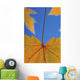Close-Up Of Yellow Maple Leaves In Studio Wall Mural