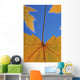 Close-Up Of Yellow Maple Leaves In Studio Wall Mural