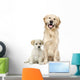 Golden Retriever and a Labrador puppy sitting Wall Decal