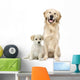 Golden Retriever and a Labrador puppy sitting Wall Decal