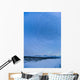 Night Time View Of Star Trails Over Mt Mckinley With Northern Lights Wall Mural