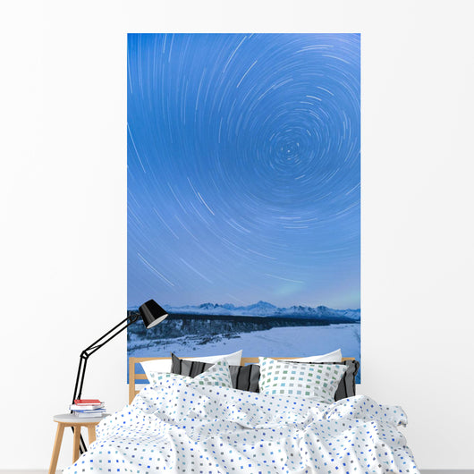 Night Time View Of Star Trails Over Mt Mckinley With Northern Lights Wall Mural