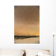 Night Time View Of Star Trails Over Mt Mckinley With Northern Lights Wall Mural