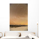 Night Time View Of Star Trails Over Mt Mckinley With Northern Lights Wall Mural