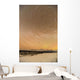 Night Time View Of Star Trails Over Mt Mckinley With Northern Lights Wall Mural