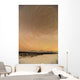 Night Time View Of Star Trails Over Mt Mckinley With Northern Lights Wall Mural