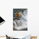 Adult Brown Bear Fishing For Salmon At Top Of Brooks Falls Wall Mural