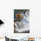 Adult Brown Bear Fishing For Salmon At Top Of Brooks Falls Wall Mural